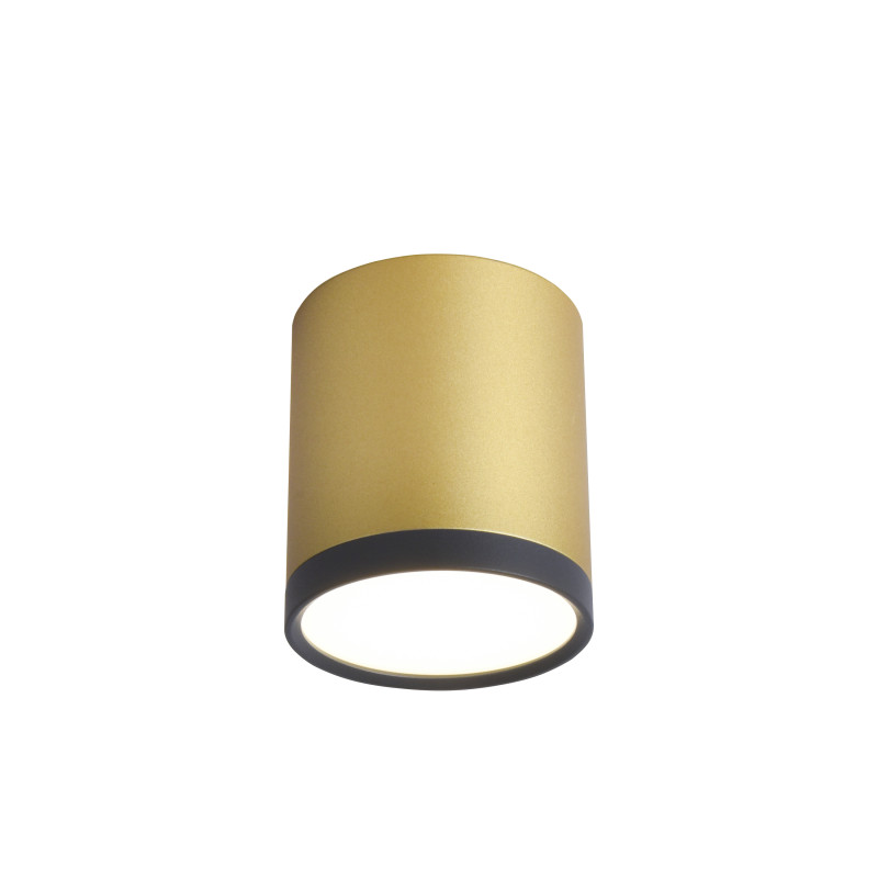 Светильник 6*6 см, LED 5W, 4000K Favourite Baral 3082-1C, D68*H75, Светильник, каркас сочетает в себе два цвета - золото и черный