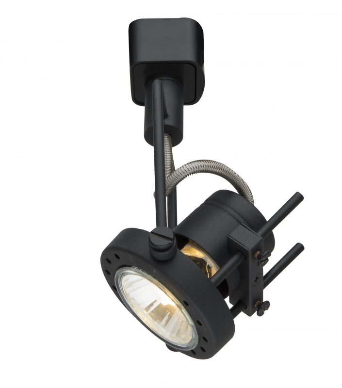 Светильник спот Arte Lamp A4300PL-1BK черный