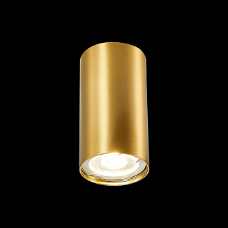 Светильник 5 см, ST LUCE Накладные светильники ST110.207.01 Золотистый