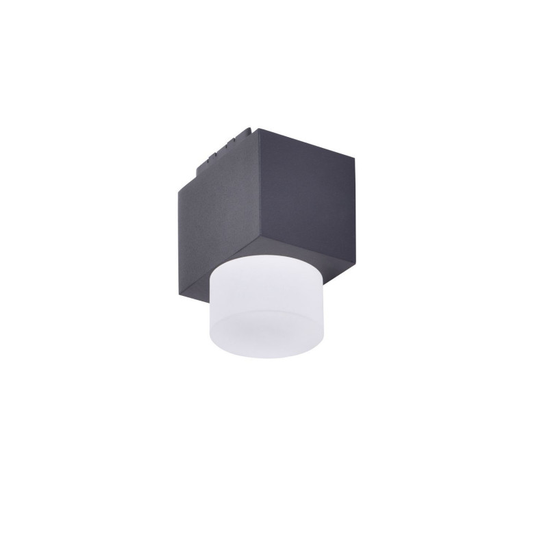 Потолочный светильник Favourite Unika 4153-1U, L48*W35*H60, магнитный светильник на шинопровод, черного цвета, с декоративным акриловым рассеивателем