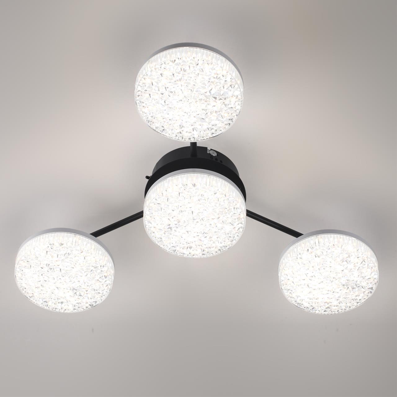 Люстра потолочная 48,5*54*9,5 см, 1 LED 55W 3000-4000-6000K Lumion Didana 8236/4CL черный