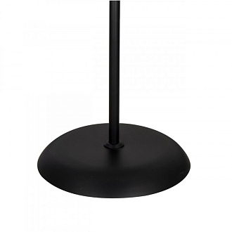 Светильник 176 см, Arte Lamp DUETTO A9569PN-2BK, черный