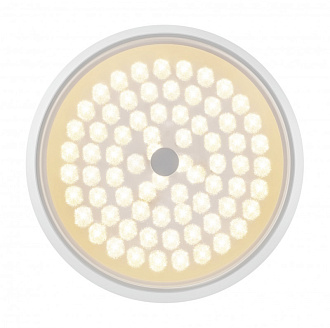Потолочный светильник 39 см, 24W Freya Cells FR10012CL-L24W, 3000-6500K, белый